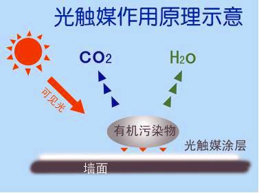 新房除甲醛需要注意哪些？都有哪些有效去除的方法？