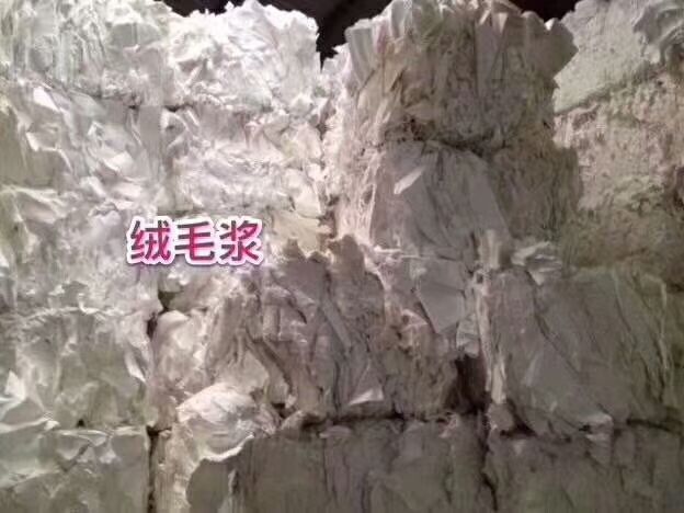 毛絨玩具竟是披著羊皮的狼 你見過最可愛的甲醛殺手嗎？