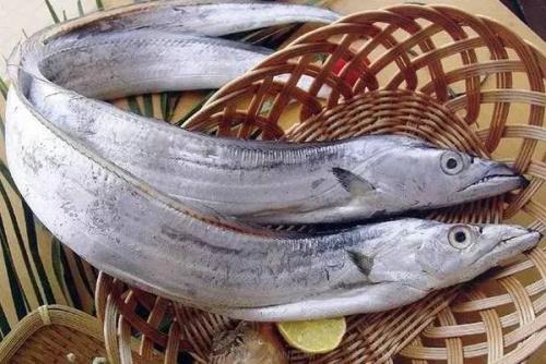 甲醛檢測(cè)機(jī)構(gòu)帶你分清甲醛帶魚！